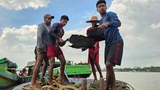 အသက်စွန့်ရေငုပ်ပြီး ဝမ်းစာရှာနေရတဲ့ ဒလမြို့သားများ