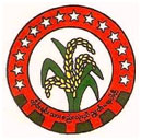 nup-logo.jpg
