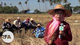rice-622.jpg