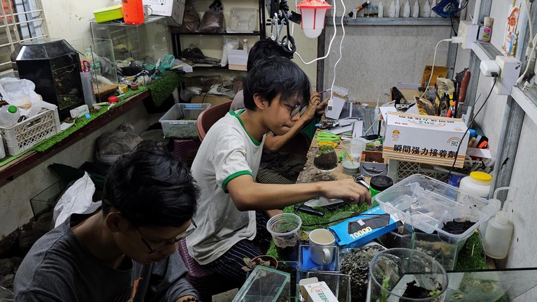 ရန်ကုန်၊ မြောက်ဒဂုံမြို့နယ် The Labs ပြခန်းရှိ တောတောင်သဘာဝပုံစံကန်များ ဖန်းတီးနေကြသည့်လူငယ်များအား ၂၀၂၃ ခုနှစ်၊ ဒီဇင်ဘာလ ၁၂ ရက်ကတွေ့ရစဉ်။ (Photo: RFA)