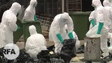 H1N1-622.jpg