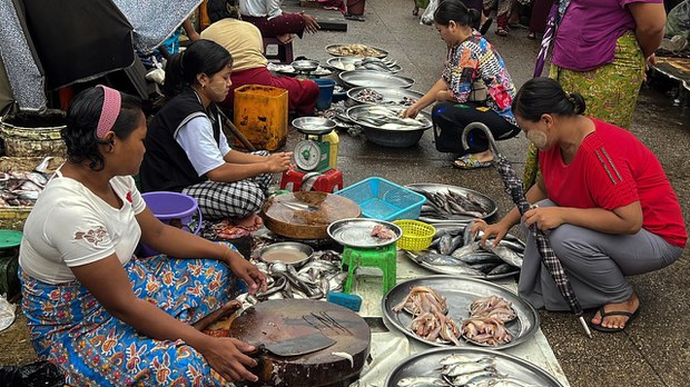 ကုန်စျေးနှုန်းကြီးမြင့်မှုကြောင့် ထမင်းနပ်မှန်ဖို့ ခက်ခက်ခဲခဲ ရုန်းကန်နေရ
