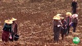 land-622.jpg