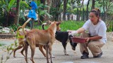 ရန်ကုန်မြို့က ပိုင်ရှင်မဲ့ခွေးလေးတွေကို ကျွေးမွေးစောင့်ရှောက်သူ