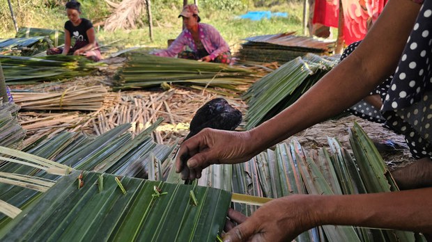ဘိုကလေးမြို့နယ်က ဓနိခြံတွေမှာ လုပ်သားရှားပါးမှုနဲ့ ရင်ဆိုင်နေရ ဘိုကလေးမြို့နယ်က ဓနိခြံတွေမှာ လုပ်သားရှားပါးမှုနဲ့ ရင်ဆိုင်နေရ