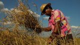 စစ်အာဏာသိမ်းမှု အကျိုးဆက် တောင်သူတွေအပေါ်ရိုက်ခတ်