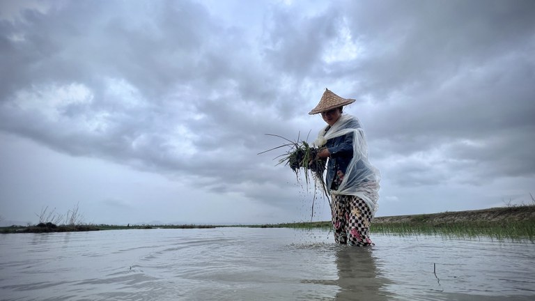 ရခိုင်ပြည်နယ် ရသေ့တောင်မြို့နယ် ဆင်ပိုက်၊ ဒုံးပိုက်၊ ဒိုးရီချောင်း၊ အောင်စည်ကုန်း ရွာမှ လယ်သမားများကို ၂၀၂၃ ခုနှစ် ဇွန်လ ၂၂ ရက်နေ့ တွေ့ရစဉ်။ (Photo: RFA)