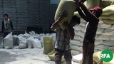 rice-workers-622.jpg