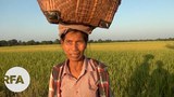 farmer1-622.jpg