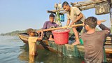ဂေါ်ရင်ဂျီကျွန်းက ရေလုပ်သားတွေ ရပ်တည်ရေးခက်ခဲနေ