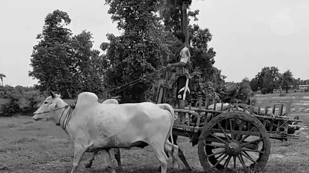 ဒီပဲယင်းမြို့နယ် ဆပ်ပြာကျင်းတိုက်ပွဲ နှစ်နှစ်ပြည့် ဒီပဲယင်းမြို့နယ် ဆပ်ပြာကျင်းတိုက်ပွဲ နှစ်နှစ်ပြည့်