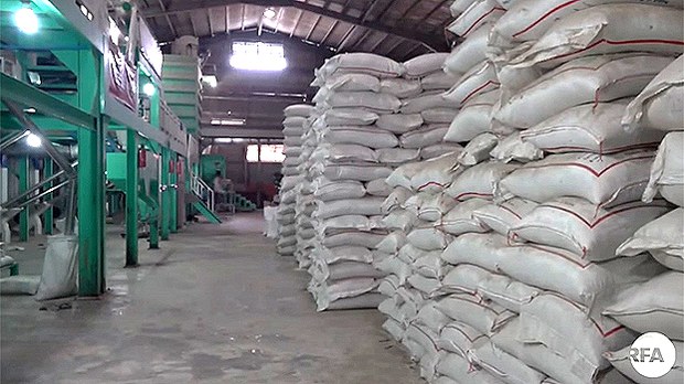 rice-622.jpg