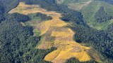 ပိုခက်ခဲလာတဲ့ ချင်းပြည်နယ်က တောင်ယာစပါးစိုက်ပျိုးရေး