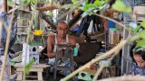 မြို့ပြက ကျေးငှက်တွေအတွက် အိမ်ငယ်တွေ တည်ဆောက်ပေးနေသူ