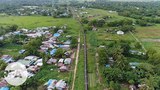 gyophyu-622.jpg