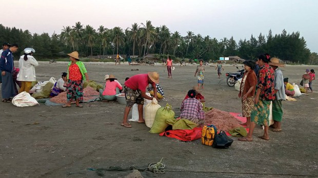 ဟိုင်းကြီးကျွန်း ဇီးချိုင်ကျေးရွာ ဒေသခံ ခုနစ်ဦး အဖမ်းခံထားရ ဟိုင်းကြီးကျွန်း ဇီးချိုင်ကျေးရွာ ဒေသခံ ခုနစ်ဦး အဖမ်းခံထားရ