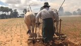 farmers-magway-622.jpg