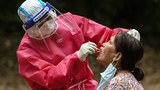 coronavirus-test-622.jpg