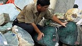 jade-trader-620.jpeg