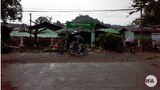 tanine-market-622.jpg