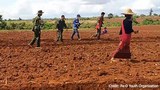 pao-lands-622.JPG