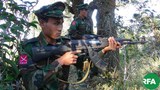 tnla-gun-622