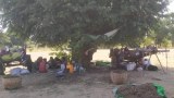 မြိုင်မှာ အမျိုးသမီးငါးဦး ဖမ်းဆီးခံရ