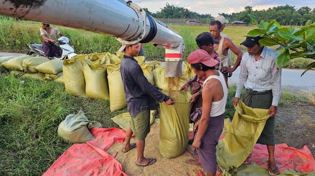 ဧရာဝတီတိုင်းမှာ NLD အစိုးရလက်ထက် တောင်သူချေးငွေတွေ ဖိအားပေးတောင်းယူခံနေရ ဧရာဝတီတိုင်းမှာ NLD အစိုးရလက်ထက် တောင်သူချေးငွေတွေ ဖိအားပေးတောင်းယူခံနေရ