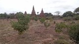 ပုဂံဒေသ ​လျှော်ဖြူစိုက်ပျိုးမှု ရှေးဟောင်းသုတေသန လေ့လာသူတွေ ကန့်ကွက်
