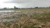 bamaw-flooding-622.jpg