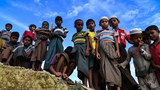 rohingya-622.jpg