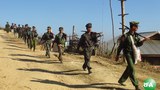 tnla-620.jpg