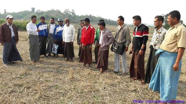 buthidaung-corpse-622 buthidaung-corpse-622