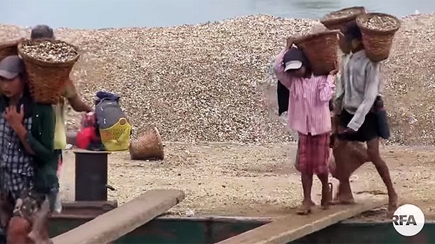 child-labor-622.jpg