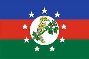 chin_flag_305.jpg chin_flag_305.jpg