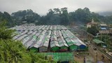 ပလက်ဝက ဒုက္ခသည်တွေကို နေရပ်ပြန်ခိုင်းလို့ စားဝတ်နေရေးအခက်ကြုံ