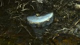 landmine-622.jpg
