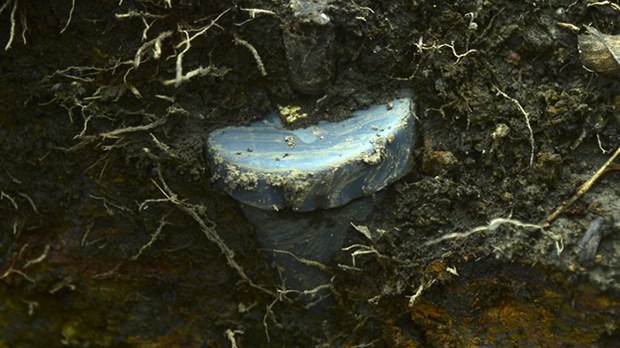 landmine-622.jpg