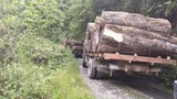 kachin-logging-622.jpg
