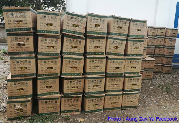 illegal-chickens-620.jpg illegal-chickens-620.jpg
