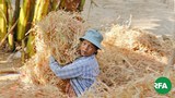 farmer-622.jpg