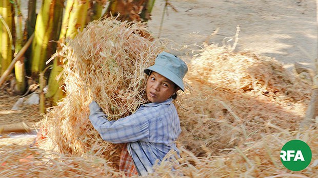 farmer-622.jpg farmer-622.jpg