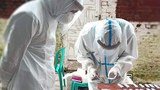 coronavirus-in-prison-622.jpg