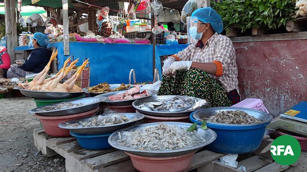 ပိုးတွေ့ရှိနှုန်း ကျဆင်းလာတယ်လို့ မန္တလေးဝန်ကြီးချုပ်ပြော