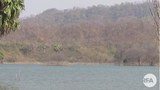 dam-622.jpg