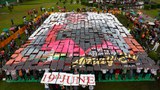 assk-picture-display