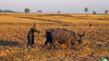 farmers-305.jpg