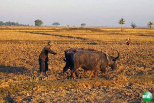 farmers-305.jpg farmers-305.jpg