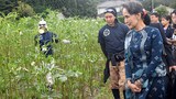 dassk-japan-farm-622.jpg