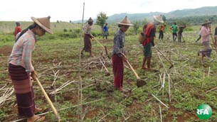 solarku-farmers-305 solarku-farmers-305